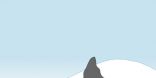 Description of ice types