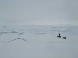 Arctic Arc -  Barstend ijs in aantocht