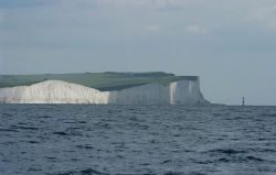 Alcyon and limestone cliffs