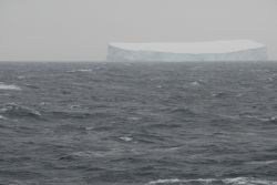 Our first Iceberg