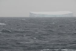 Our first Iceberg