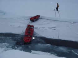 International Polar Foundation