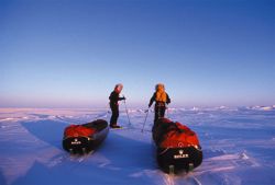 Arctic Arc: hommes et trainaux - Copyright: R. Robert / IPF