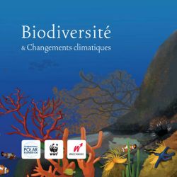 Hoesje van de Cd-rom Biodiversiteit & klimaatsverandering