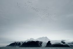 L'île Clarence dans la brume - Copyright: G. Chapelle / IPF / Alfred Wegener Institut