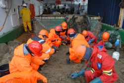 Biologists at work