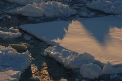 Permanent sunset on the ice