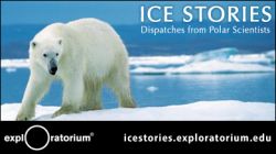 International Polar Foundation