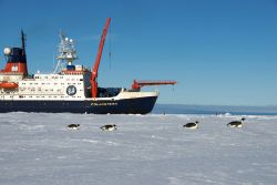 Polarstern and emperors - Copyright: G. Chapelle / IPF / Alfred Wegener Institut