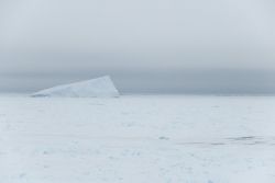 Blanc au-dessus, blanc au-dessous, pris dans la glace...