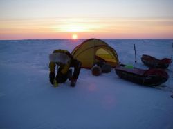 Placement de la balise ARGOS sur la banquise Arctique - Copyright: IPF