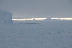 Icebergs dans le calme de la nuit antarctique - Copyright G. Chapelle / IPF / Alfred Wegener Institut