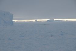 Icebergs in the quiet Antarctic night