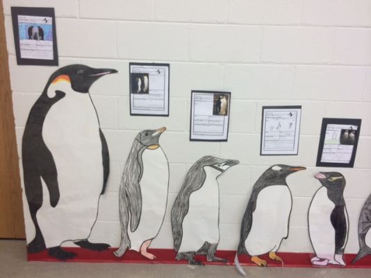 Students at Lincoln Elementary School have been studying penguins.