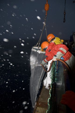 Marzia Umani from Italy and Enrique Isla from Mexico pull their plankton net back on deck