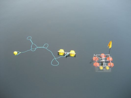 After having been released from the weight of the piece of rail which remained on the sea-floor, the frame bearing the amphipod crustaceans traps is back on the surface