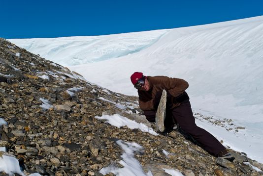 Jeroen Van Wichelen searches for microarthropods under rocks