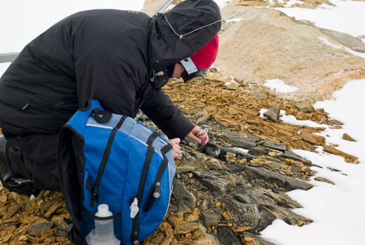 Karolien Peters takes samples to study bacteria