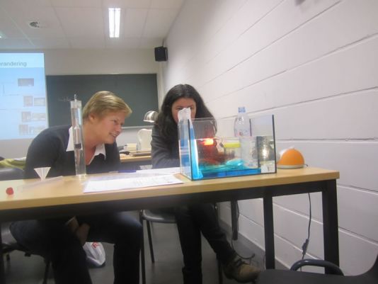 Leerkrachten leren hoe ze een experiment rond de thermohaliene circulatie kunnen opzetten.