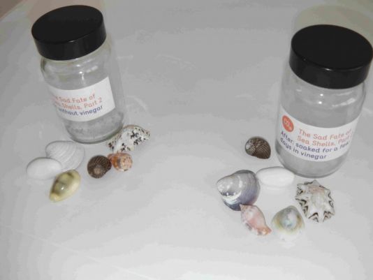 The sad fate of sea shells experiment