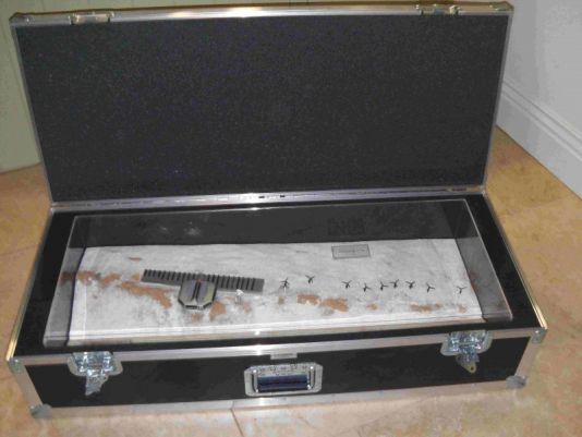 Princess Elisabeth Station model