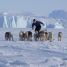 Life in Greenland