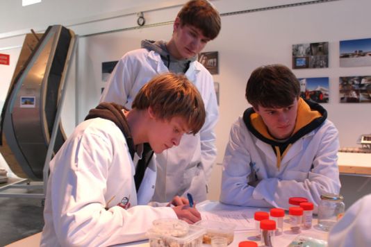 Students examine the impact of ocean acidification on calcareous organisms.