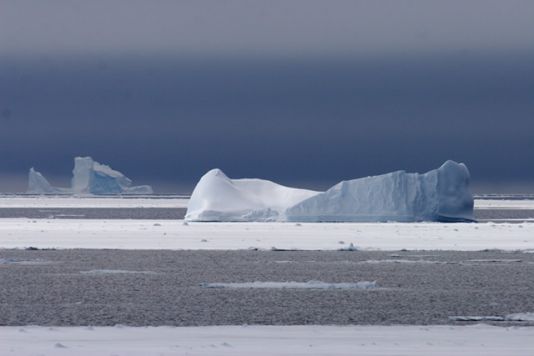 Iceberg