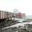 Polar scientific activities