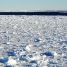 Sea ice and Icebergs