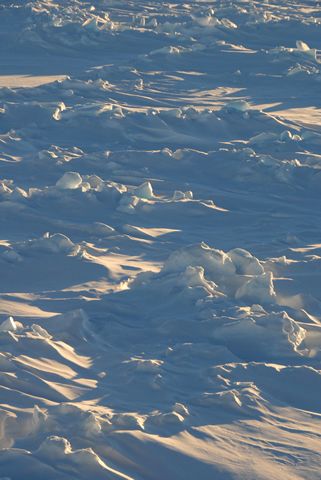 Reworked sea ice