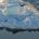 Sea ice and Icebergs