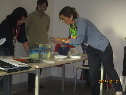 Explaining thermohaline circulation experiment