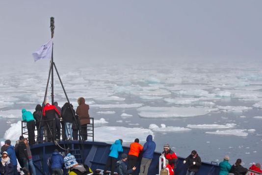 The sea ice slows the progression towards the fjords of Greenland.