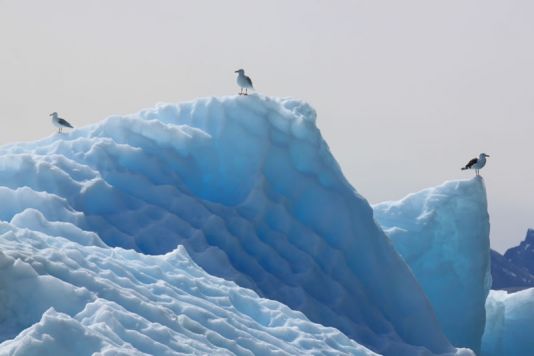 Le podium de glace.