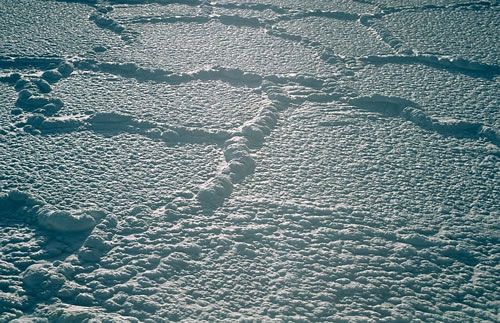 Merging ice floes