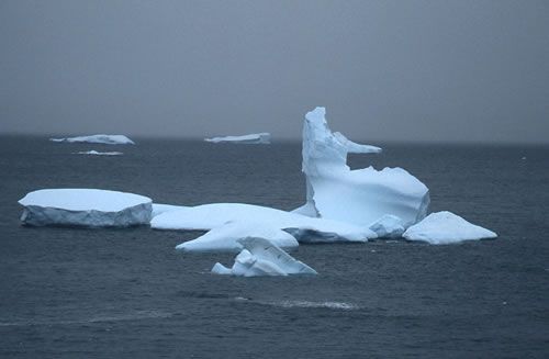 Iceberg