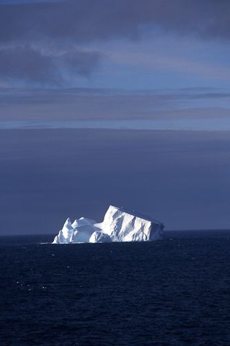 Iceberg